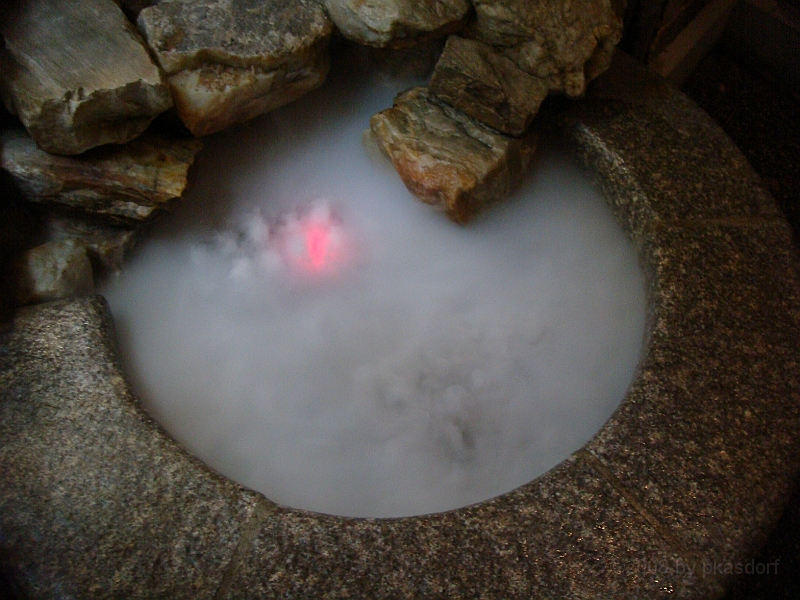 438 Longwood Gardens [2008 August 23].JPG - Longwood Gardens in Pennsylvania